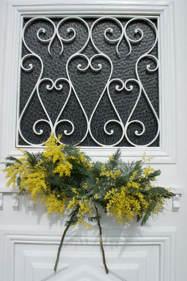 La Maison Les Mimosas Le Minihic-sur-Rance Exterior photo